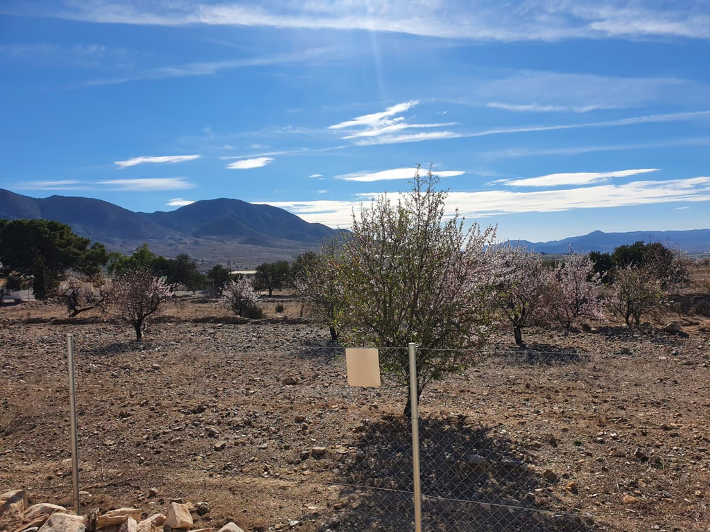 Villa te koop in Puerto Lumbreras, Murcia