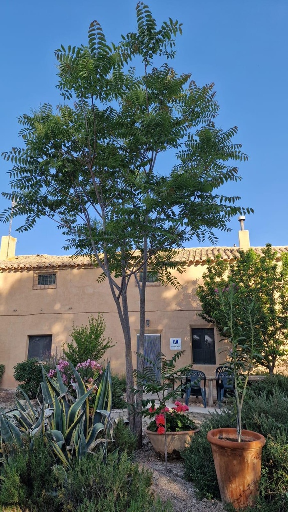 Halfvrijstaande villa te koop in Granada