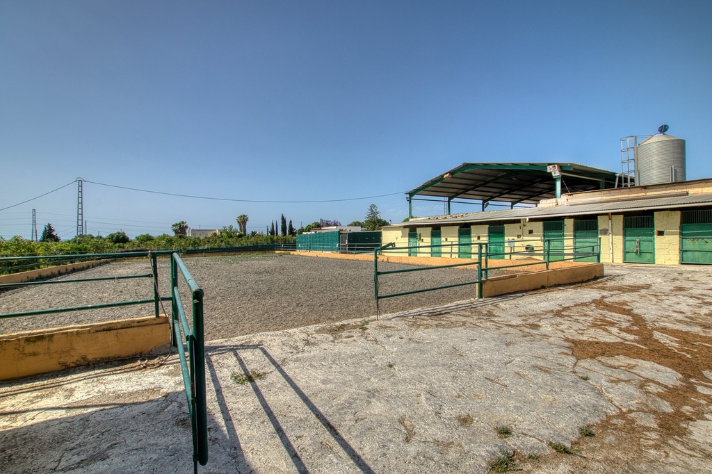Paardrijbedrijf in Torre del Mar, Oost-Costa del Sol