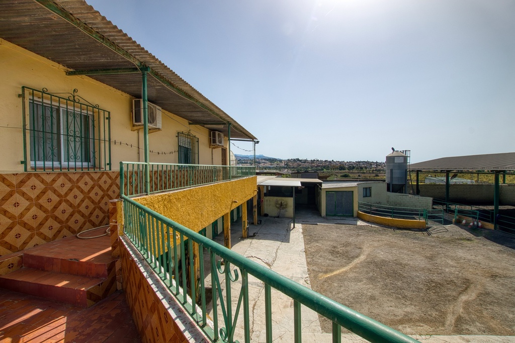 Paardrijbedrijf in Torre del Mar, Oost-Costa del Sol