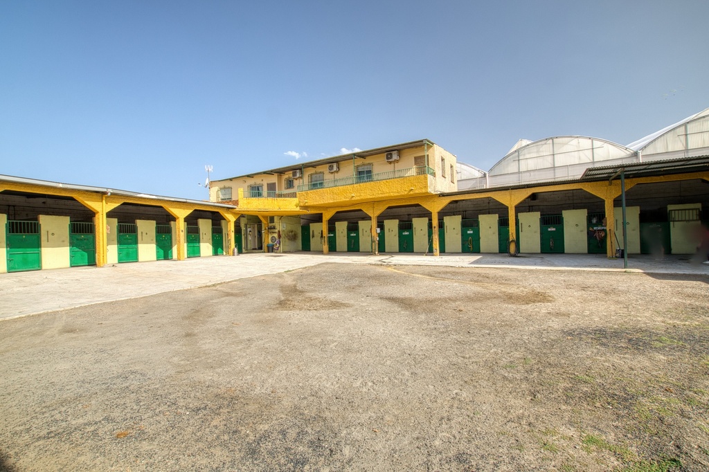 Paardrijbedrijf in Torre del Mar, Oost-Costa del Sol
