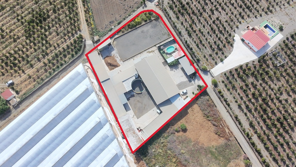 Paardrijbedrijf in Torre del Mar, Oost-Costa del Sol