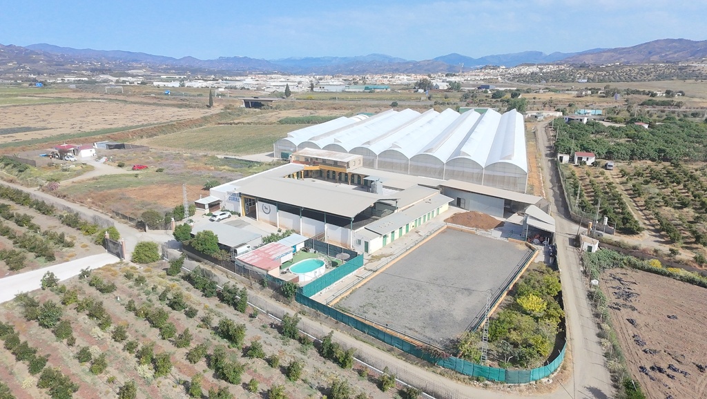 Paardrijbedrijf in Torre del Mar, Oost-Costa del Sol