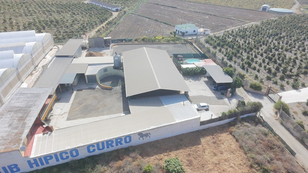 Paardrijbedrijf in Torre del Mar, Oost-Costa del Sol