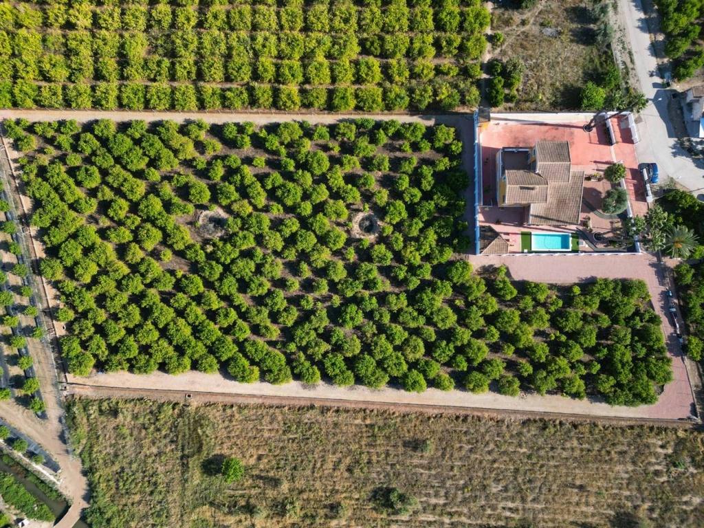Landgoed met luxevilla en agrarische productie in Orihuela, Alicante