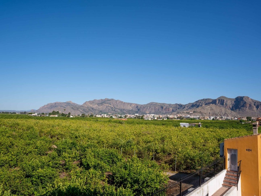 Landgoed met luxevilla en agrarische productie in Orihuela, Alicante