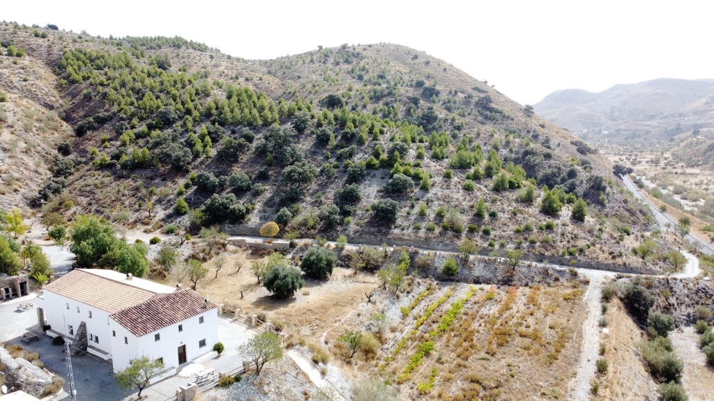 Hotel te koop in Taberno