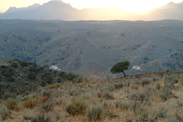 Hotel te koop in Taberno