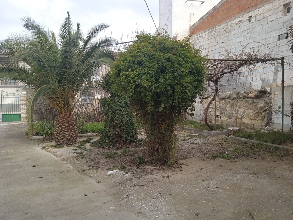 Grottewoning – 1 slaapkamer, 1 badkamer te koop in Cuevas del Campo, Granada