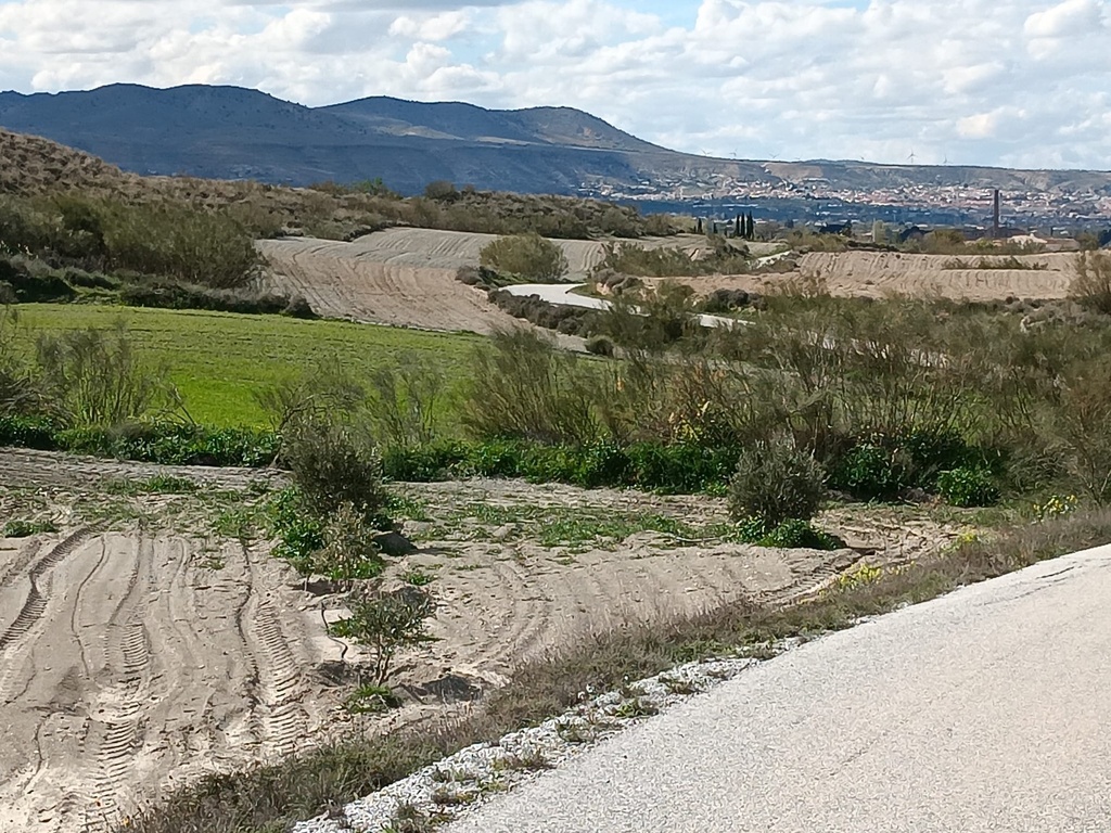 Fantastische gelegenheid in Caniles, Granada – 5 slaapkamers, 2 badkamers, 2 volledig functionele keukens, Twee-verdiepings hoofdwoning, Zelfstandig 1-slaapkamer appartement met eigen ingang – Ook huur-tot-koop optie beschikbaar