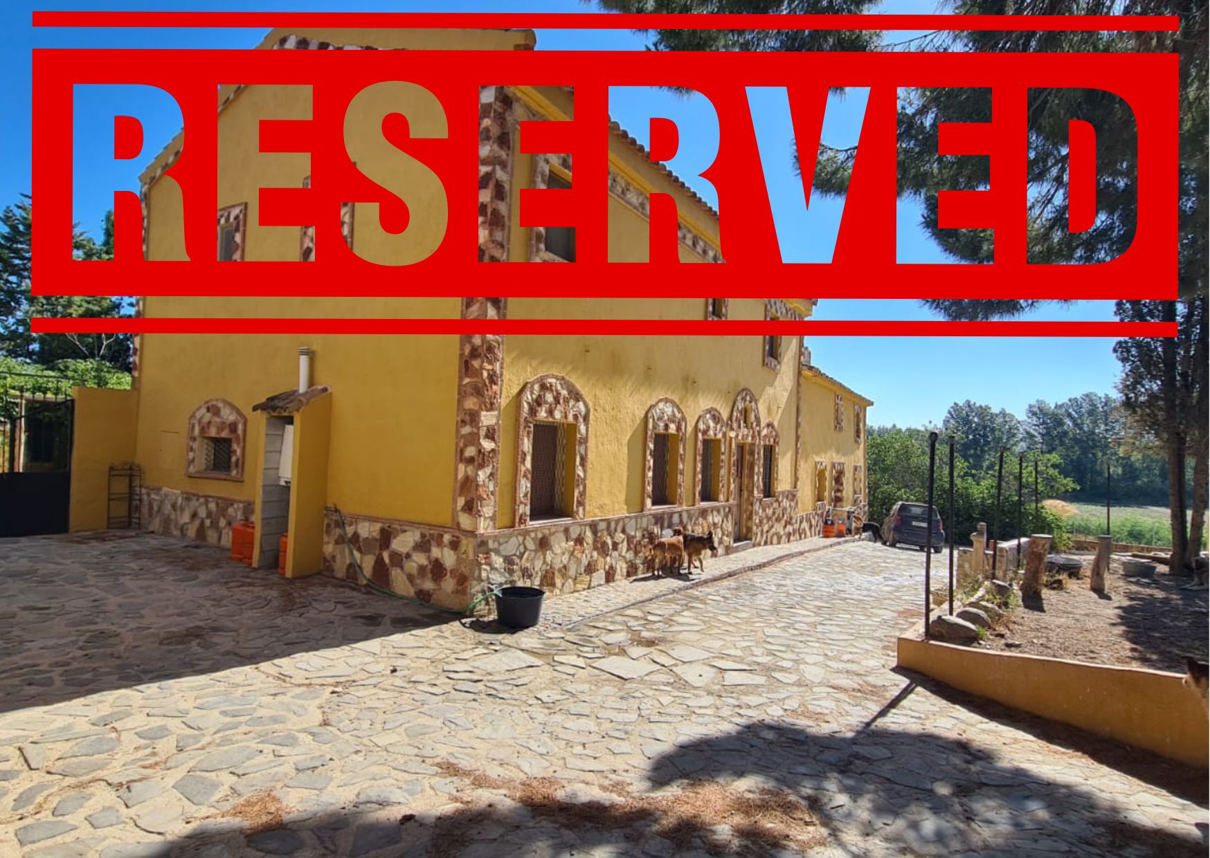 Untitled designnnnnn.jpg