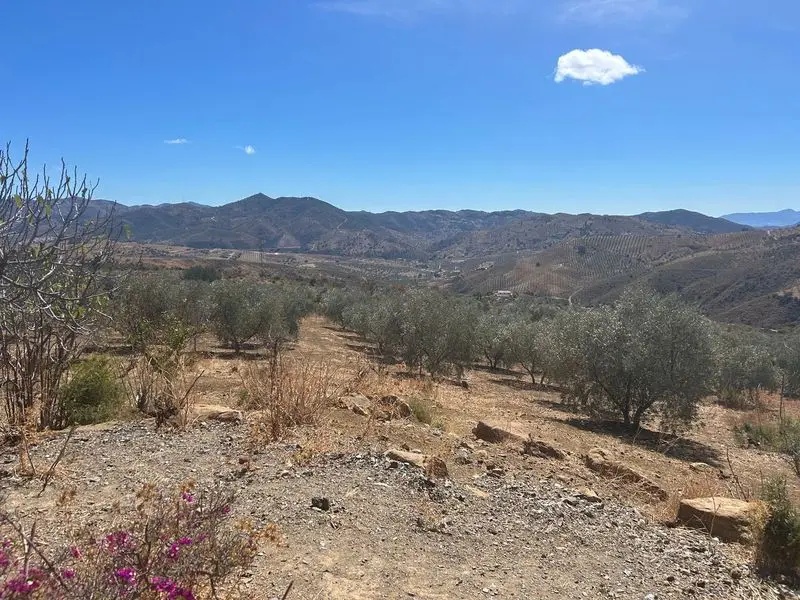 Vrijstaand paardensport-pand in Villanueva de la Concepción, Málaga