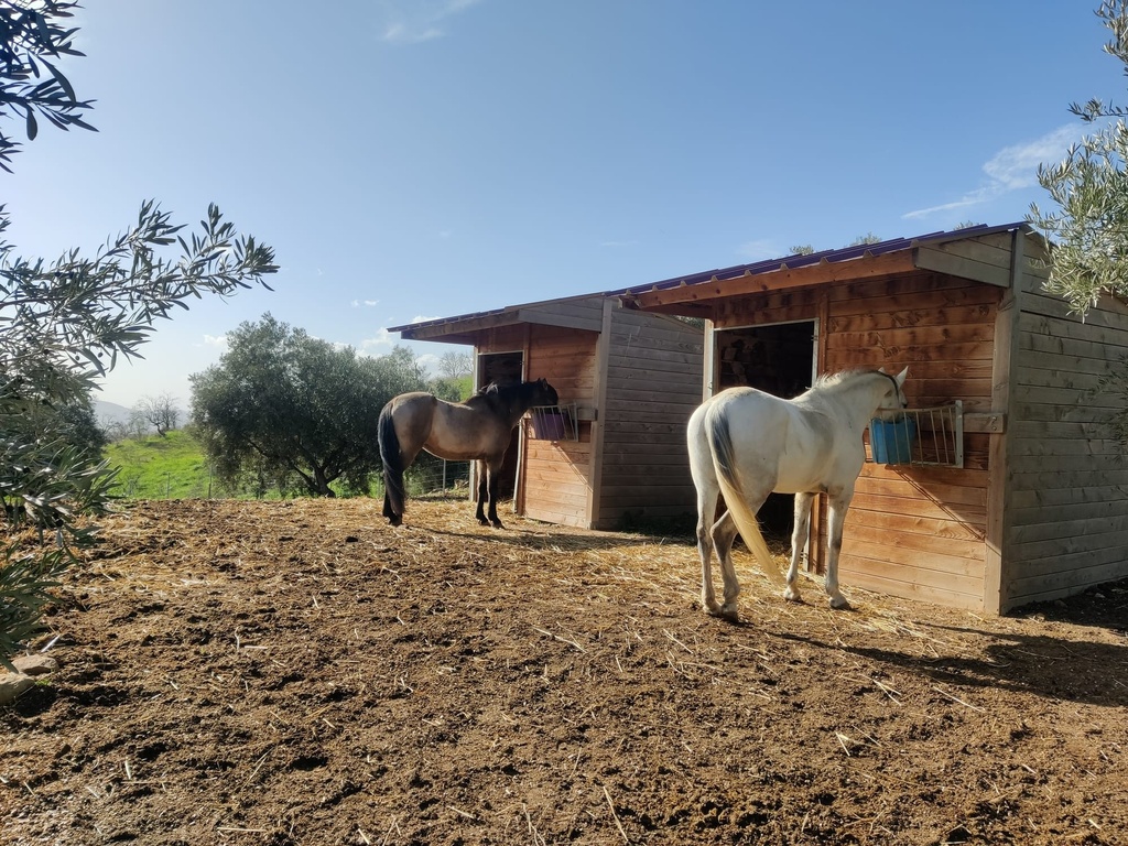 Vrijstaand paardensport-pand in Villanueva de la Concepción, Málaga