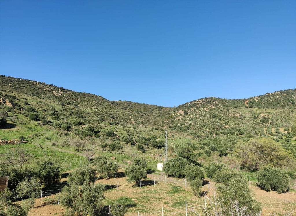 Vrijstaand paardensport-pand in Villanueva de la Concepción, Málaga