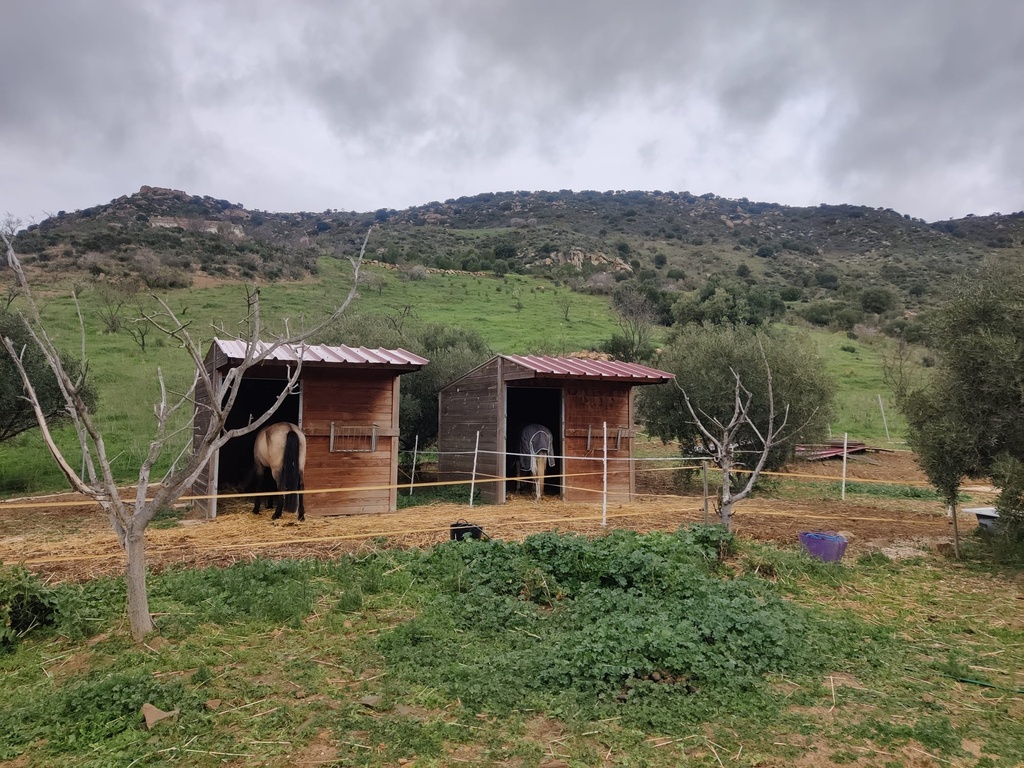 Vrijstaand paardensport-pand in Villanueva de la Concepción, Málaga