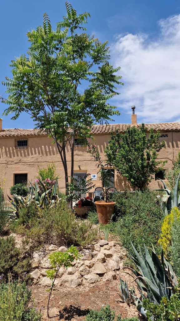 FARM HOUSE – TWO ADJOINING ANDALUSIAN CORTIJOS WITH POOL, TOURIST LICENCE & HUGE POTENTIAL IN GRANADA