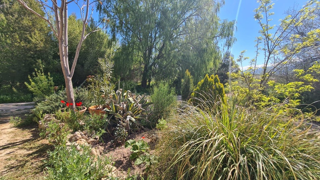 FARM HOUSE – TWO ADJOINING ANDALUSIAN CORTIJOS WITH POOL, TOURIST LICENCE & HUGE POTENTIAL IN GRANADA