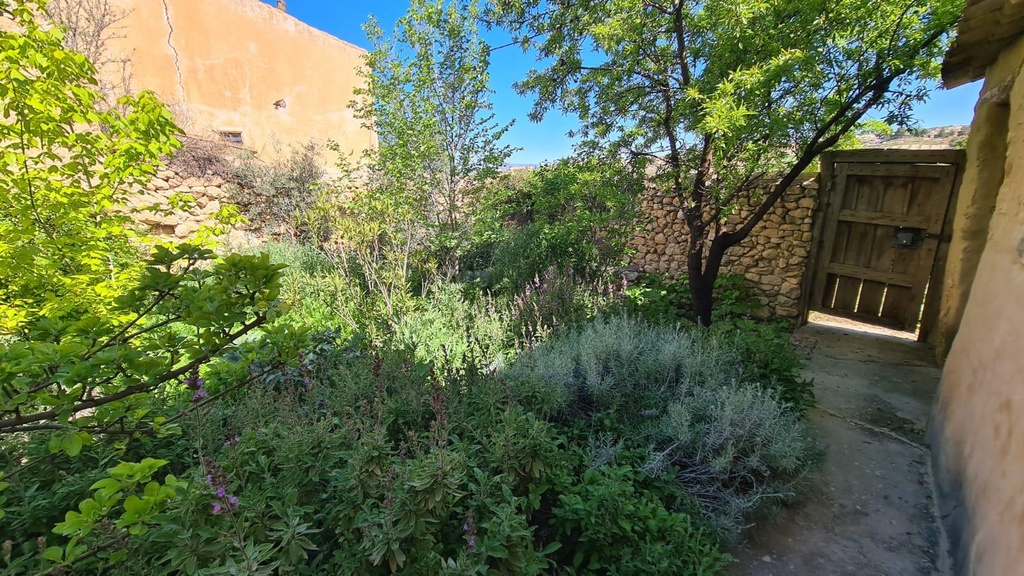 FARM HOUSE – TWO ADJOINING ANDALUSIAN CORTIJOS WITH POOL, TOURIST LICENCE & HUGE POTENTIAL IN GRANADA