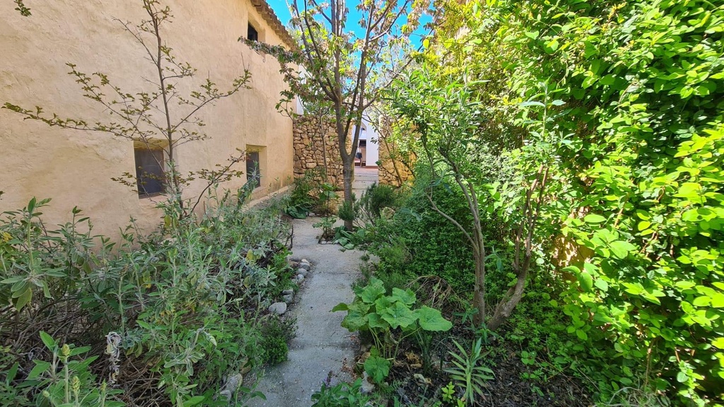 FARM HOUSE – TWO ADJOINING ANDALUSIAN CORTIJOS WITH POOL, TOURIST LICENCE & HUGE POTENTIAL IN GRANADA