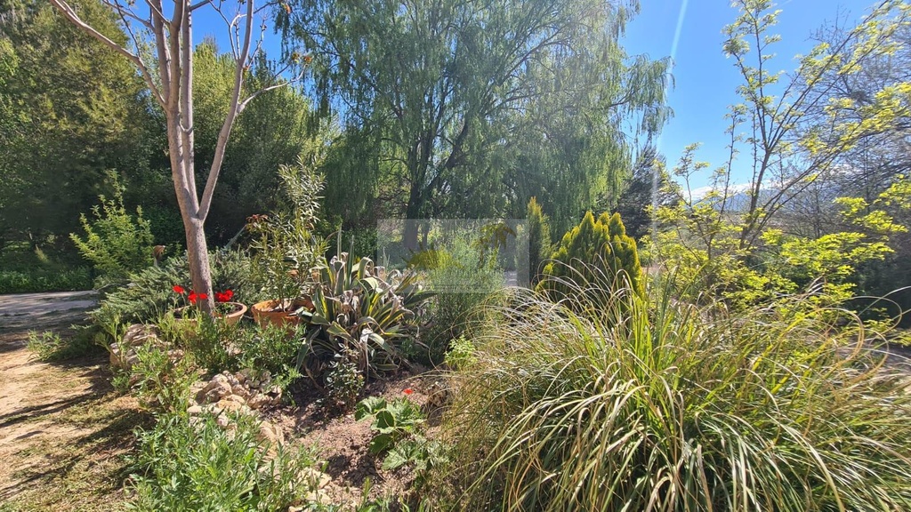 FARM HOUSE – TWO ADJOINING ANDALUSIAN CORTIJOS WITH POOL, TOURIST LICENCE & HUGE POTENTIAL IN GRANADA