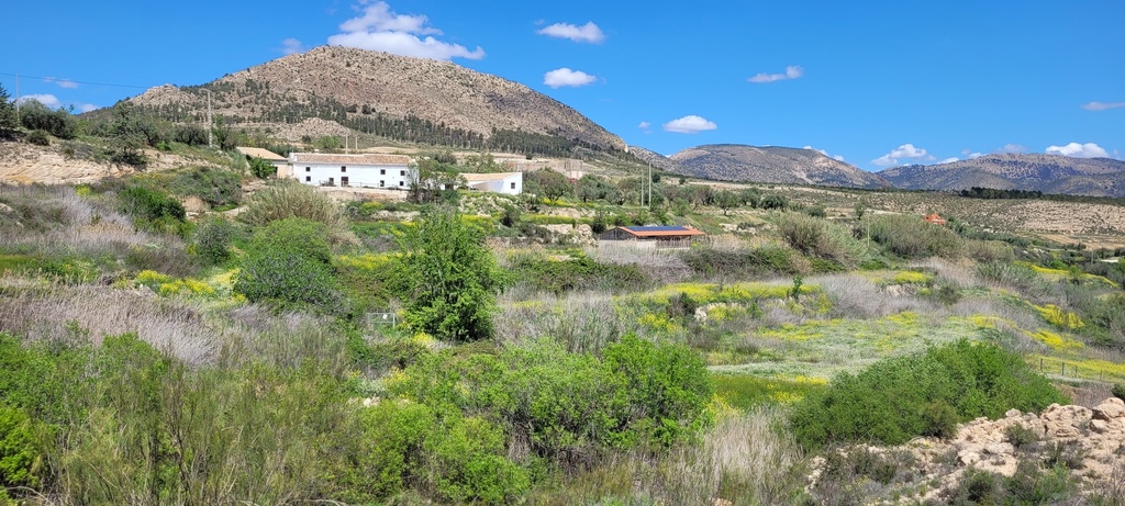 Landhuis Te Koop in Vélez-Blanco