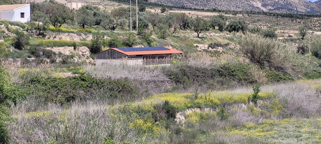 Landhuis Te Koop in Vélez-Blanco