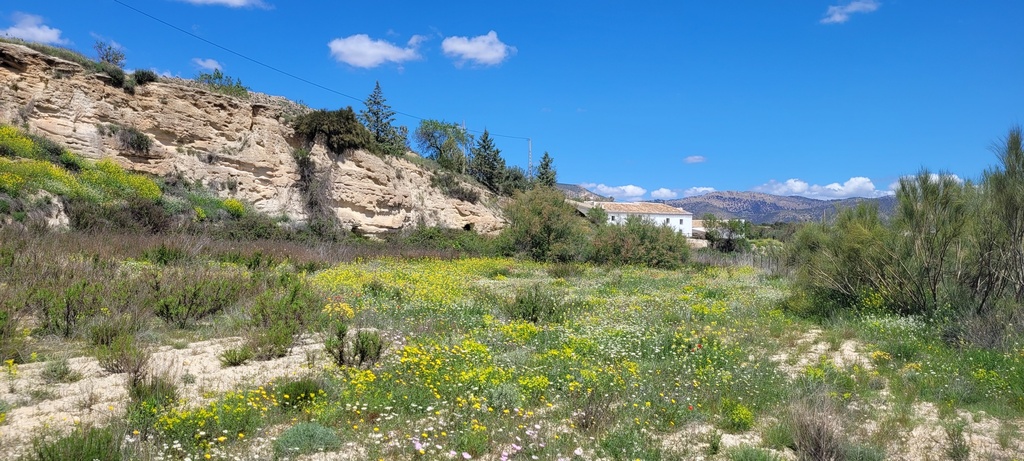 Landhuis Te Koop in Vélez-Blanco