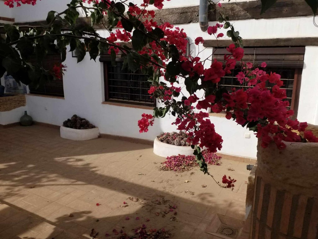 Finca – Landgoed te koop in Águilas