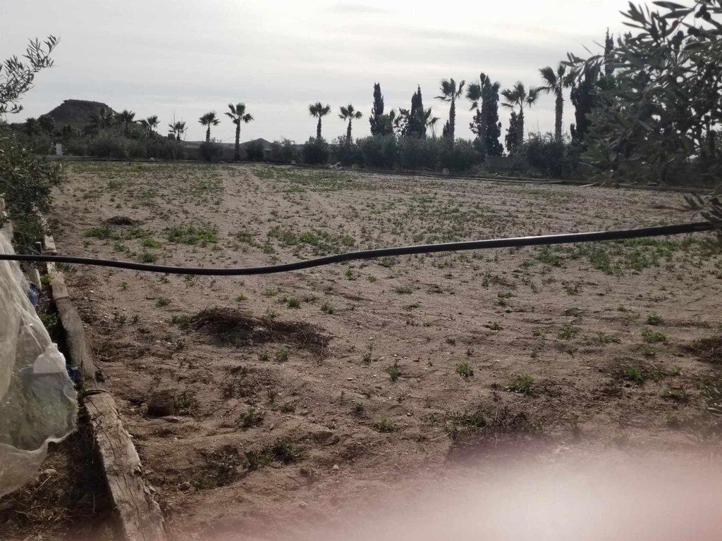 Finca – Landgoed te koop in Águilas