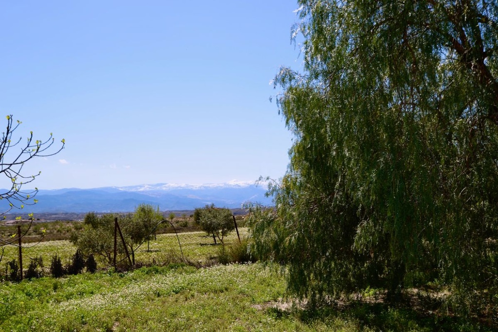 Landgoed – Landelijke erfenis te koop in Albox, Almería