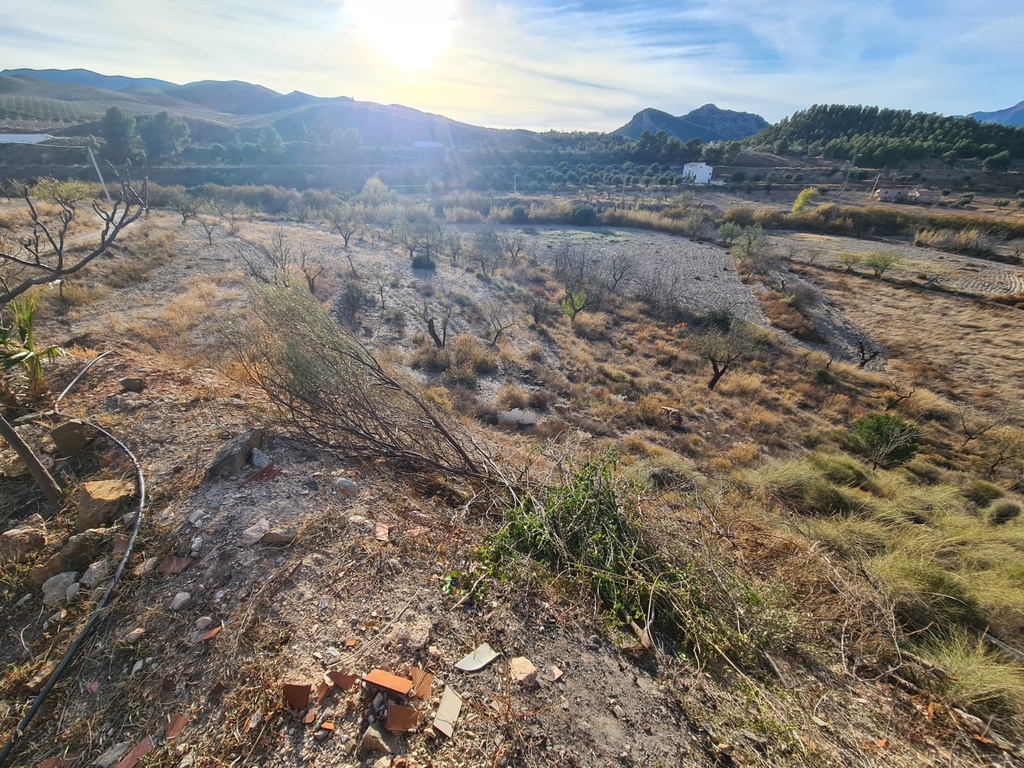 Landgoed – Finca te koop in Vélez-Rubio