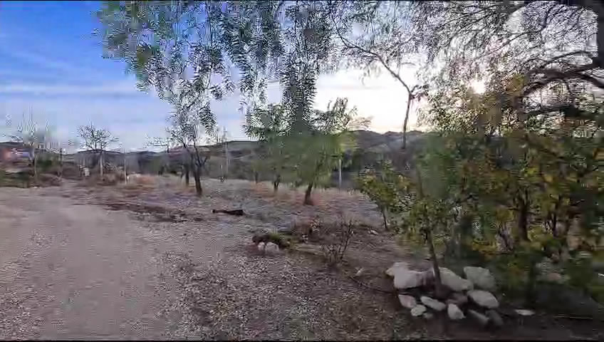 Landgoed – Finca te koop in Vélez-Rubio