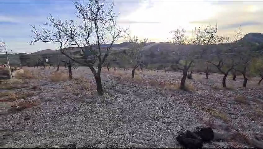 Landgoed – Finca te koop in Vélez-Rubio
