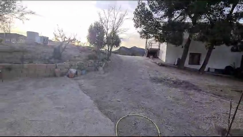 Landgoed – Finca te koop in Vélez-Rubio
