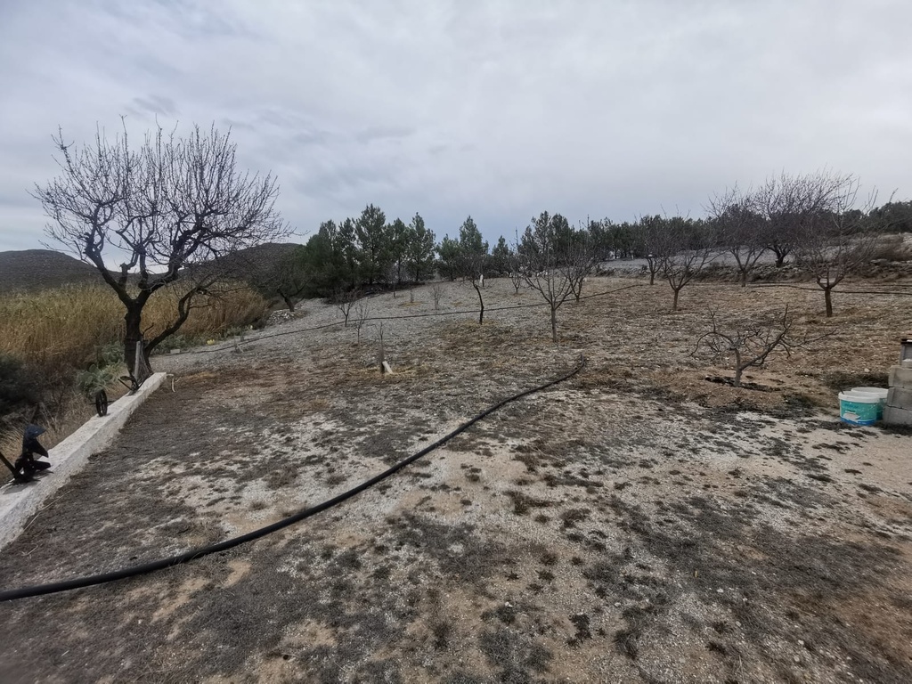 Grond met Pakhuis te koop in Vélez-Rubio