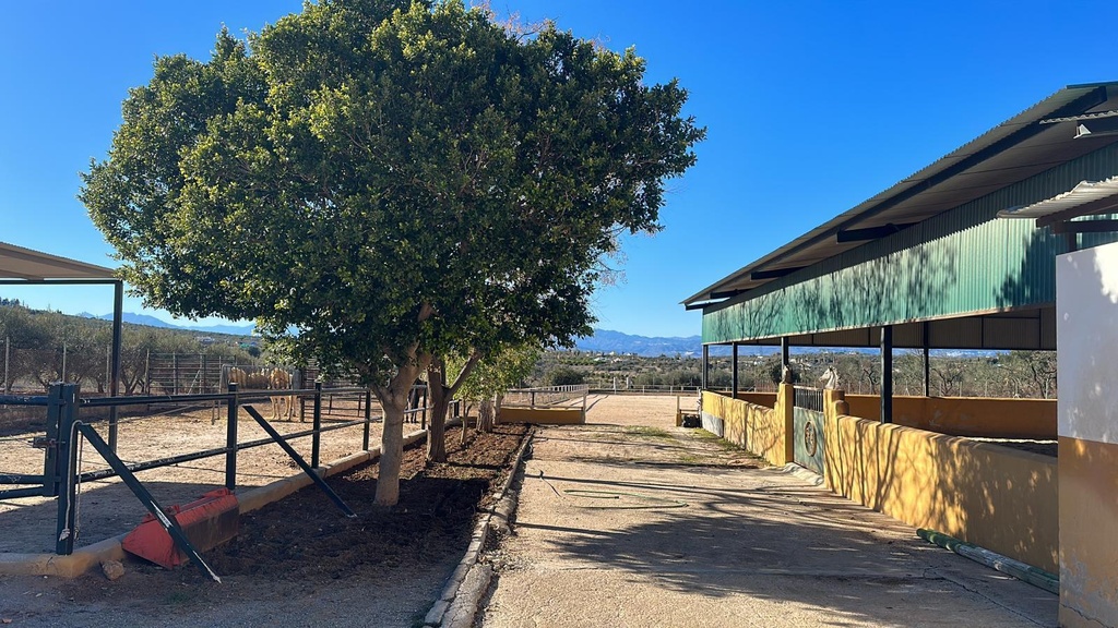 Woning te koop in Alameda