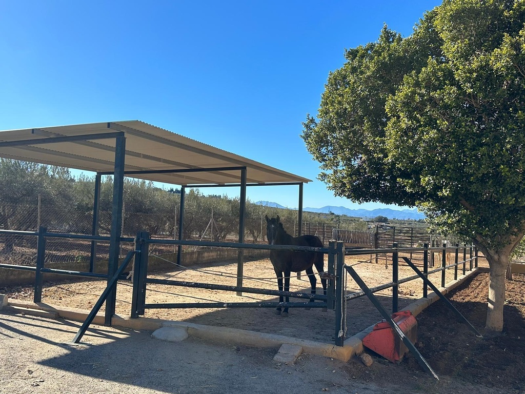 Woning te koop in Alameda