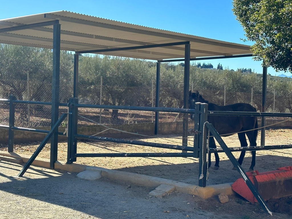 Woning te koop in Alameda