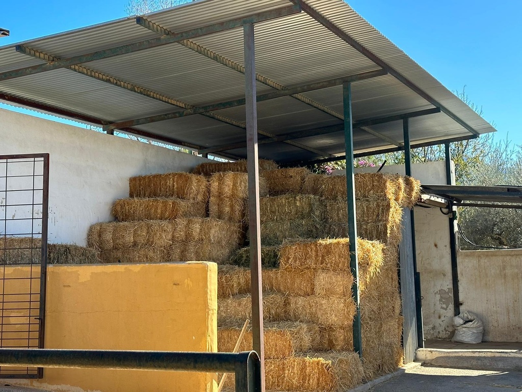 Woning te koop in Alameda