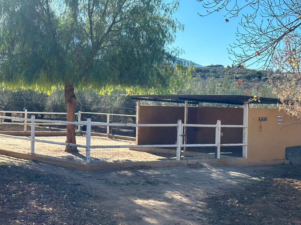 Woning te koop in Alameda