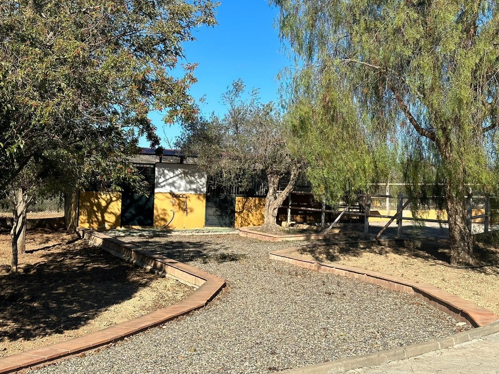 Woning te koop in Alameda