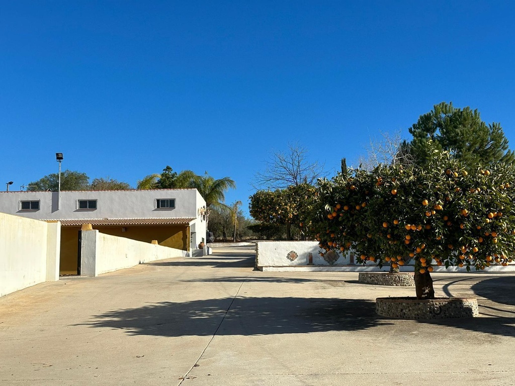 Woning te koop in Alameda