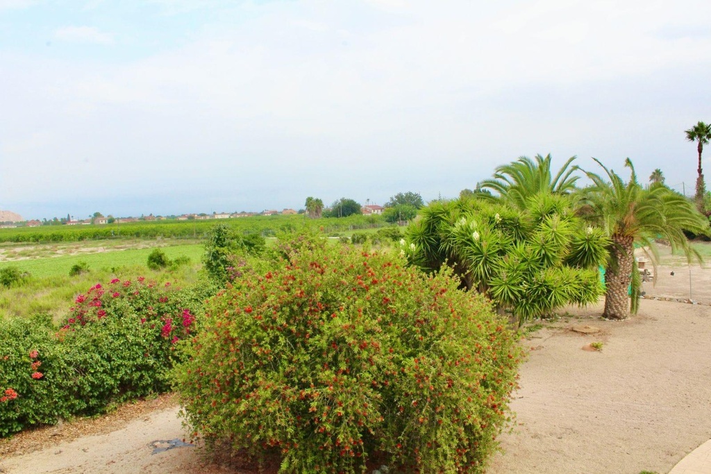 Huis te koop in Orihuela