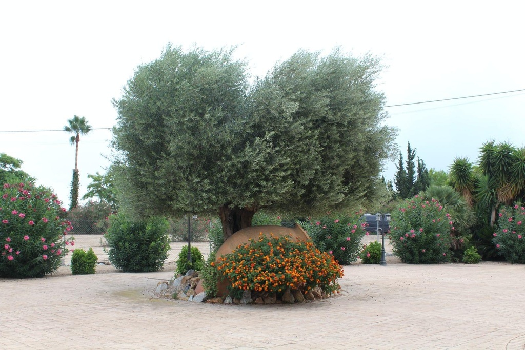 Huis te koop in Orihuela