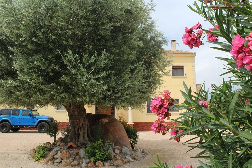 Huis te koop in Orihuela