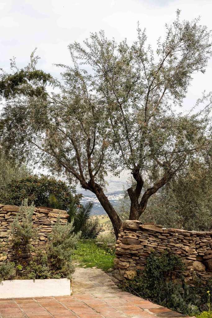 Buurtschap met 14 stadhuizen te koop in La Viñuela, Málaga
